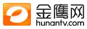 金鹰网
